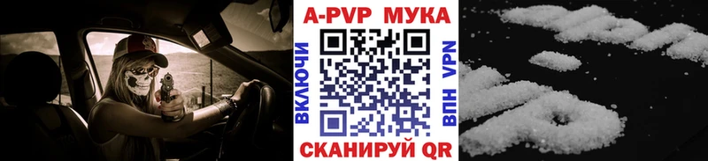 A PVP СК  Окуловка 