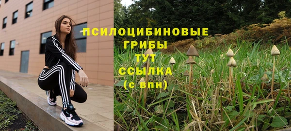 шишки Беломорск