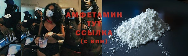 шишки Беломорск