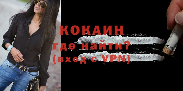 шишки Беломорск