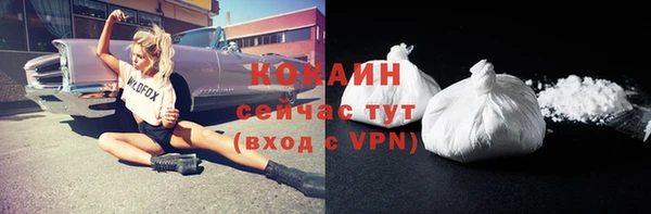 стаф Белокуриха