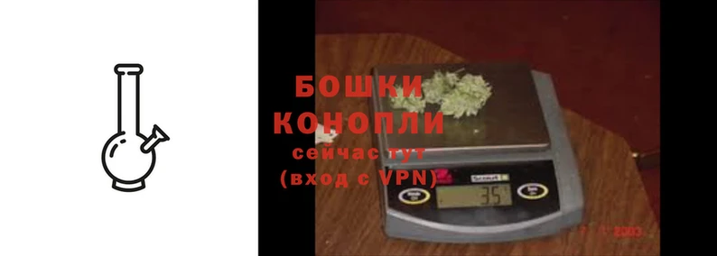 шишки Беломорск