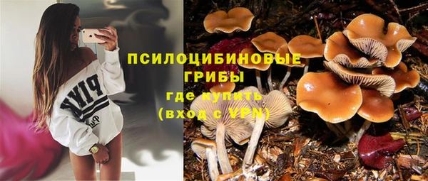 стаф Белокуриха