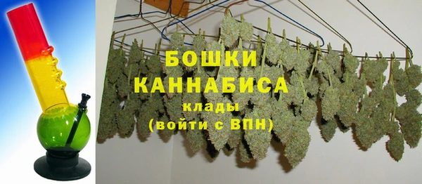 шишки Беломорск