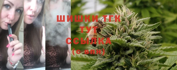 шишки Беломорск