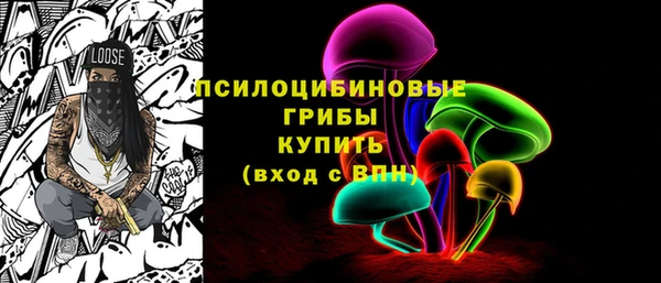 шишки Беломорск
