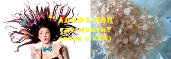 стаф Белокуриха